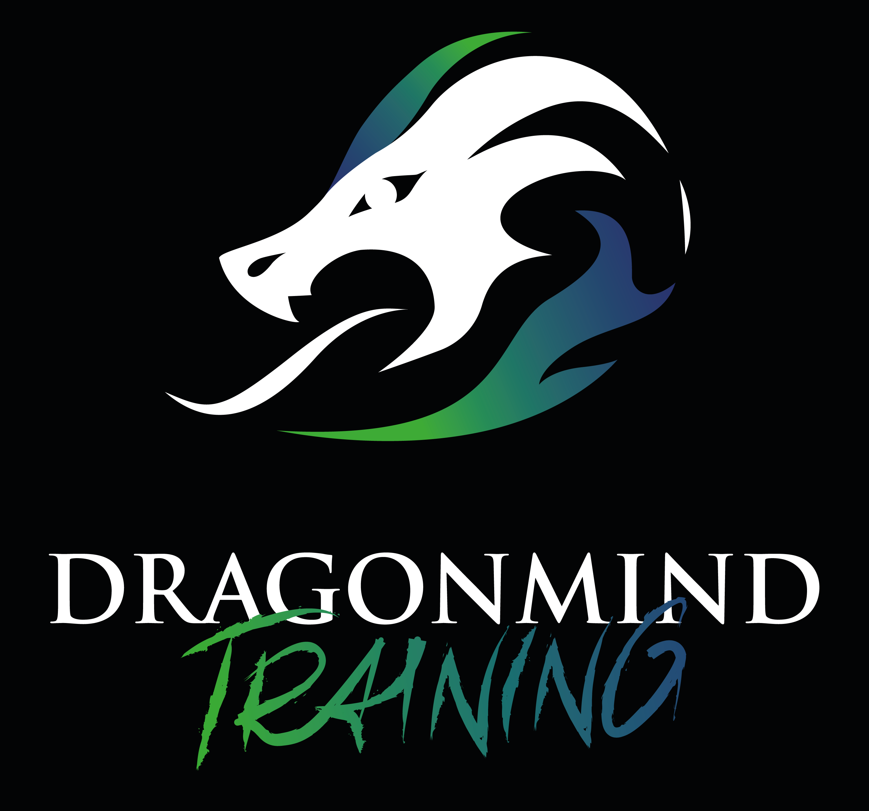 dragonmindtraining.com